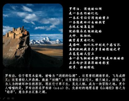 完美的收藏品
