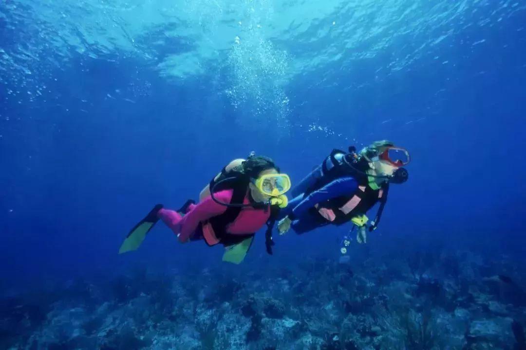 弹弹堂大冒险